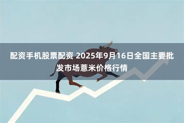 配资手机股票配资 2025年9月16日全国主要批发市场薏米价格行情