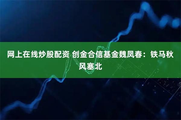 网上在线炒股配资 创金合信基金魏凤春：铁马秋风塞北